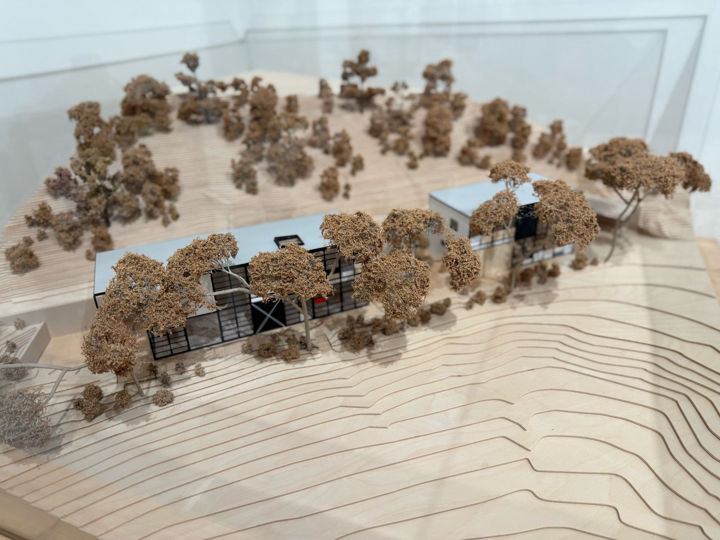 A scale model of the Eames house and surrounding landscape.
